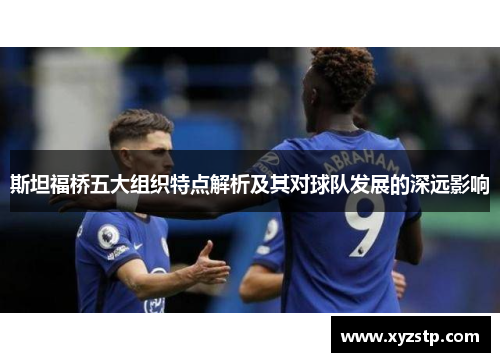 斯坦福桥五大组织特点解析及其对球队发展的深远影响